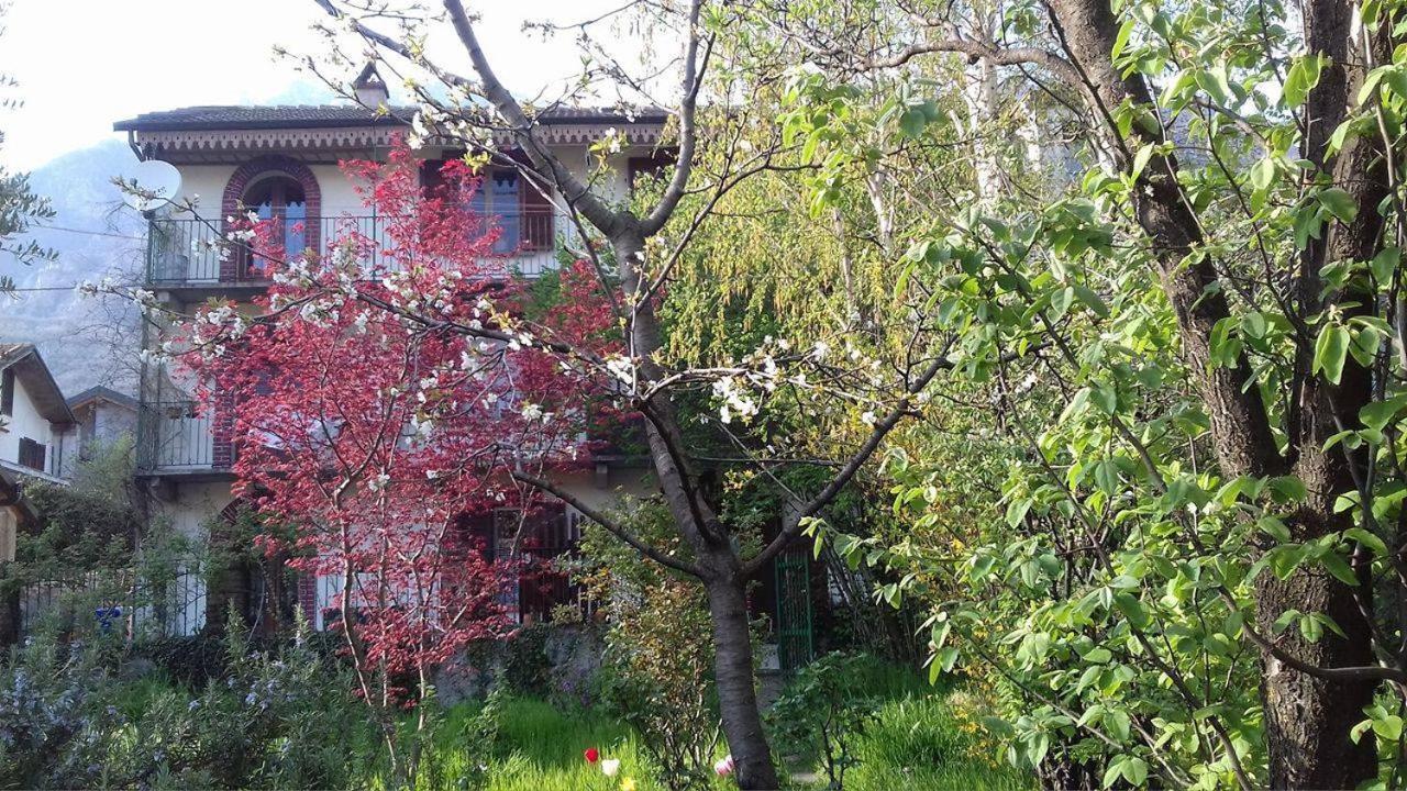 Bussoleno Il Giardino Dei Merli מראה חיצוני תמונה