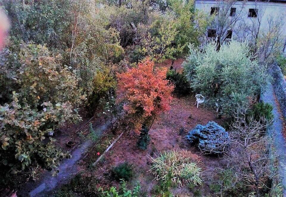 Bussoleno Il Giardino Dei Merli מראה חיצוני תמונה