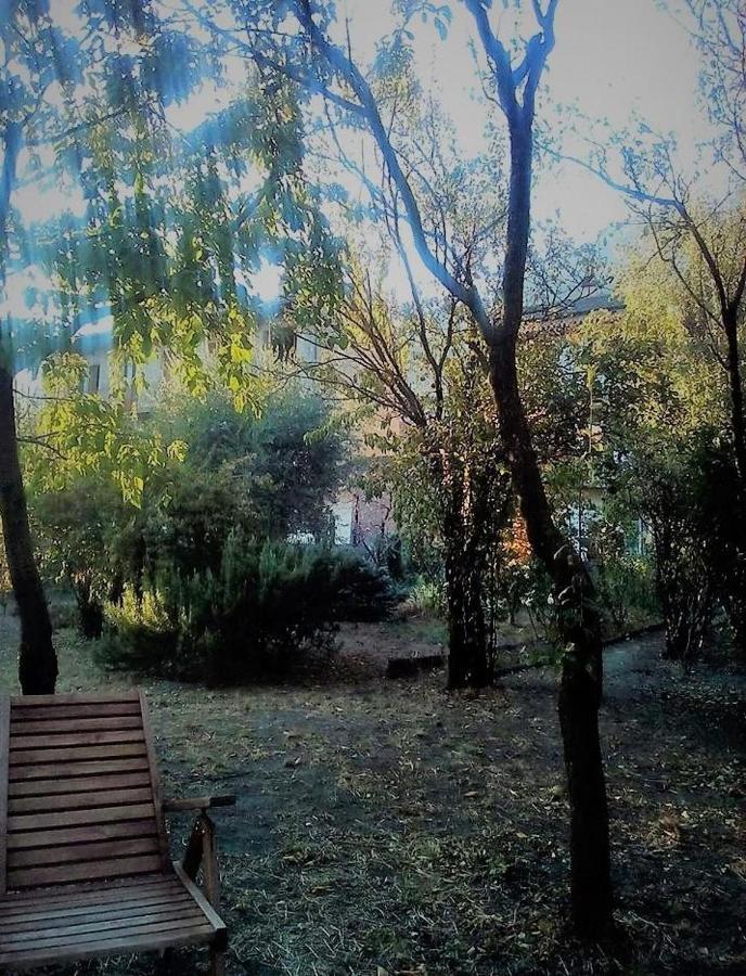 Bussoleno Il Giardino Dei Merli מראה חיצוני תמונה