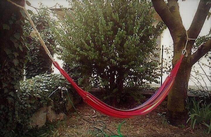 Bussoleno Il Giardino Dei Merli מראה חיצוני תמונה