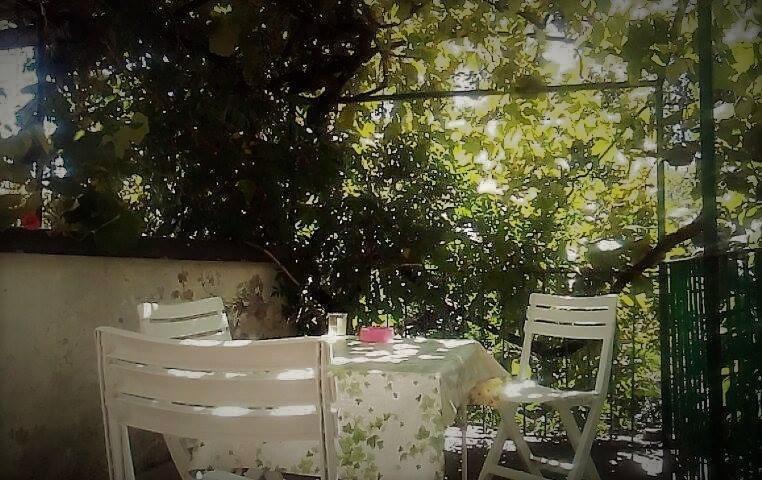 Bussoleno Il Giardino Dei Merli מראה חיצוני תמונה